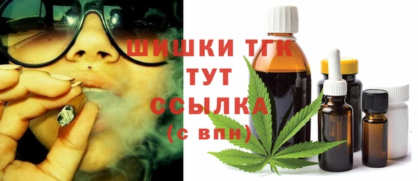 стаф Гусев
