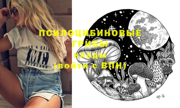 спайс Гусиноозёрск