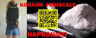 твердый Бийск