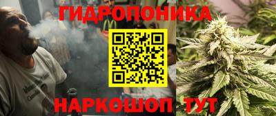 твердый Бийск