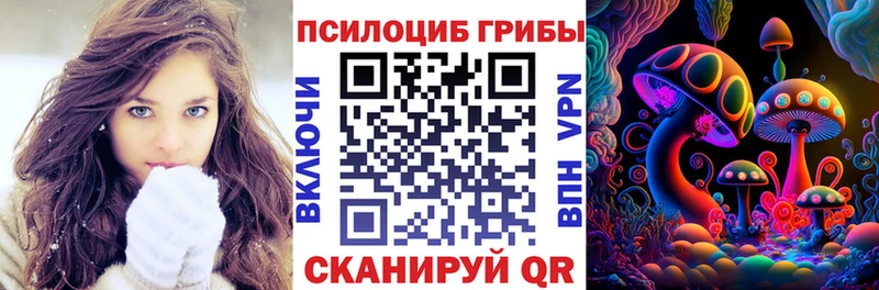 darknet клад  Дивногорск  Галлюциногенные грибы прущие грибы  купить  