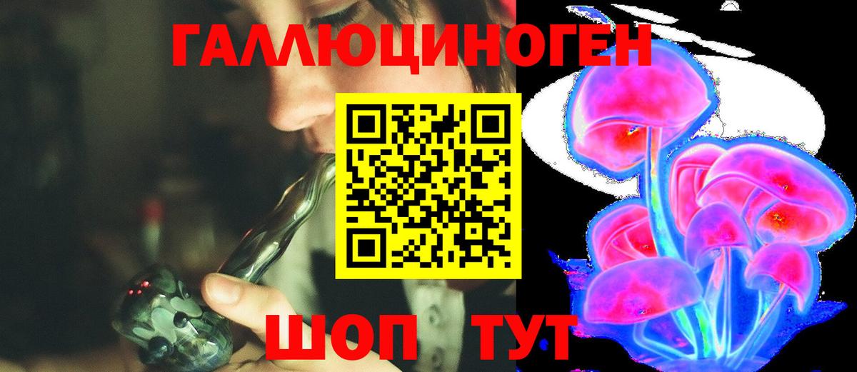 Псилоцибиновые грибы GOLDEN TEACHER Дивногорск