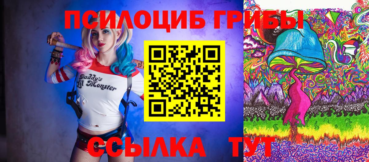 Дивногорск  Псилоцибиновые грибы MAGIC MUSHROOMS  Вход с VPN 
